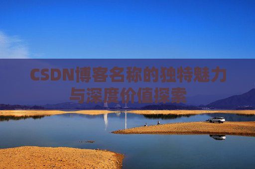 CSDN博客名称的独特魅力与深度价值探索