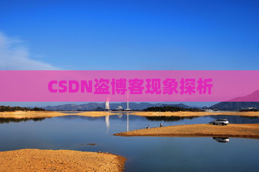 CSDN盗博客现象探析